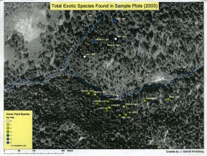 Swanton Pacific Ranch Santa Cruz Senior Project Logging Gaps